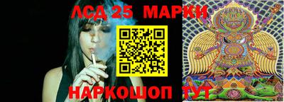 спиды Кинель
