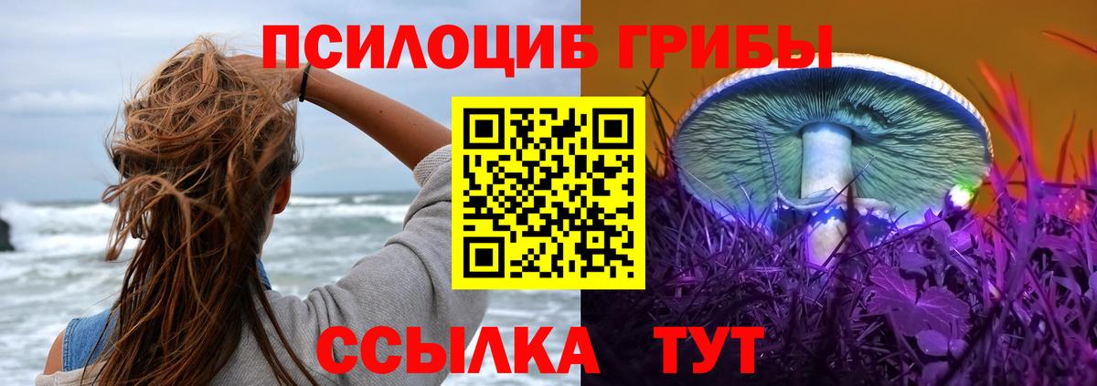 Псилоцибиновые грибы ЛСД  закладка  Глазов  Вход с VPN 